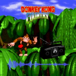 Donkey!
