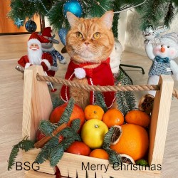 Merry Christmas