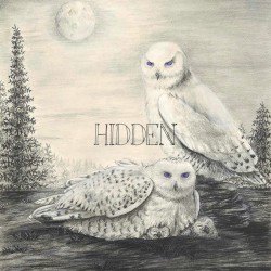 HIDDEN