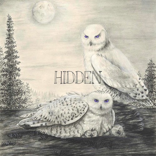 HIDDEN