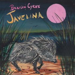 Javelina