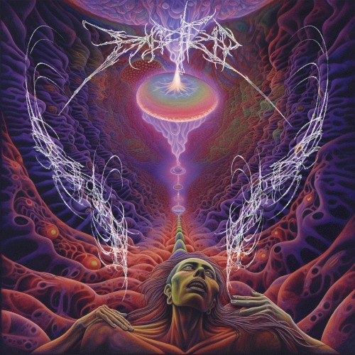 BAD TRIP