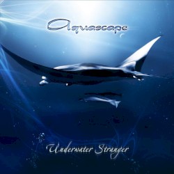Underwater Stranger