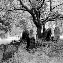 Song of Stones (demo)