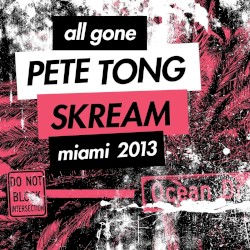 All Gone: Miami 2013
