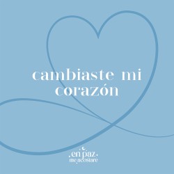 Cambiaste Mi Corazón (Violín Instrumental)