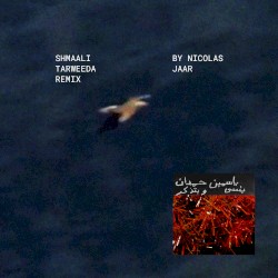 Shmaali شمالي Tarweeda (Nicolas Jaar remix)