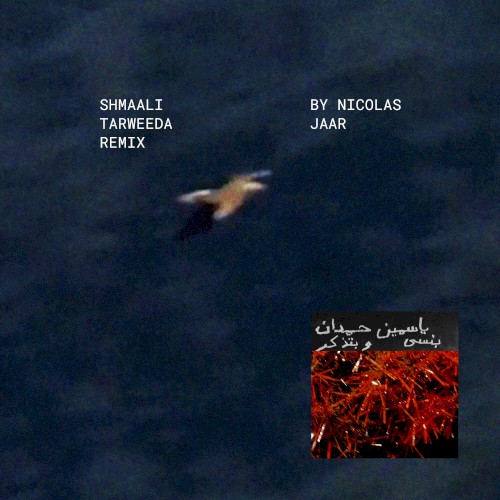 Shmaali شمالي Tarweeda (Nicolas Jaar remix)