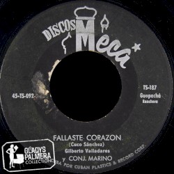 Fallaste corazón / Te vi pasar