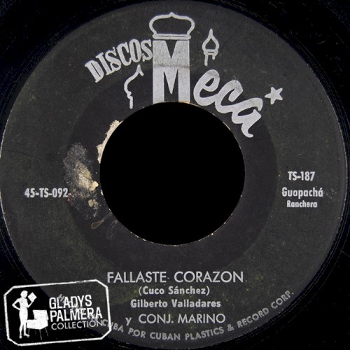 Fallaste corazón / Te vi pasar