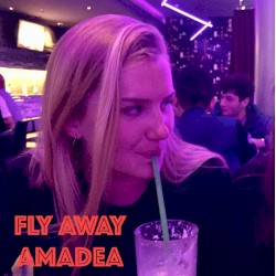 Fly Away