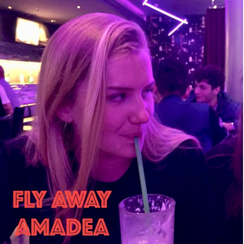 Fly Away