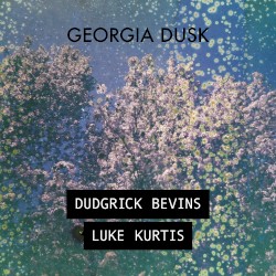 Georgia Dusk