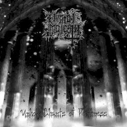 Unholy Chants of Darkness / Faces of the Void