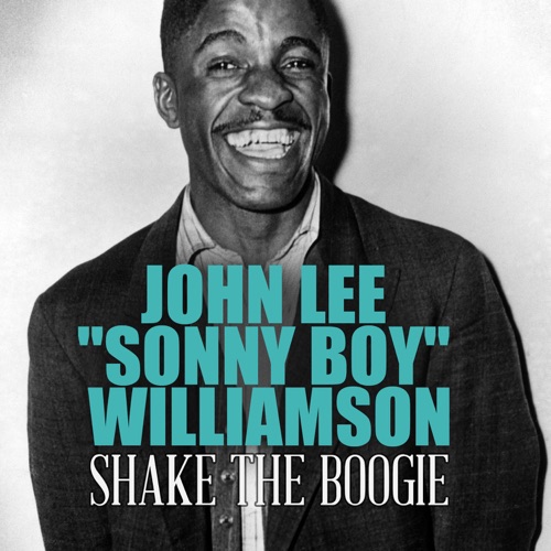 Shake the Boogie / Mean Old Highway