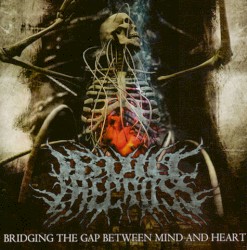 Bridging the Gap Between Mind and Heart