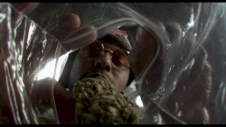 Dope Dealer