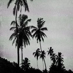 Sober