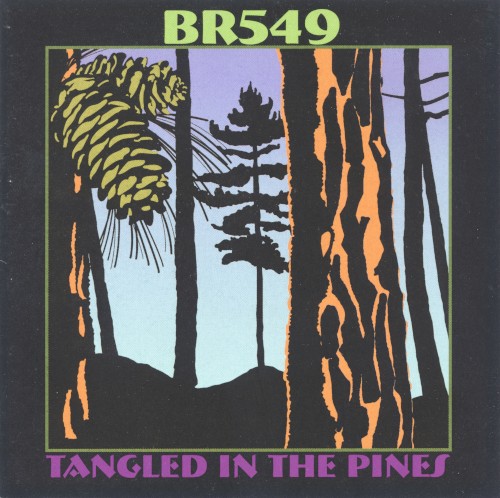 Tangled in the Pines