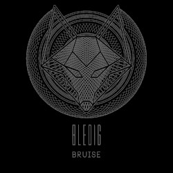 Bruise