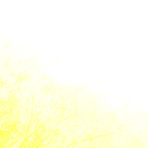 Summer Drones