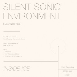 Inside Ice