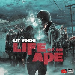 Life of an Ape