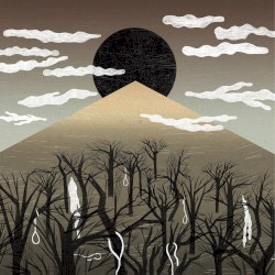 Aokigahara