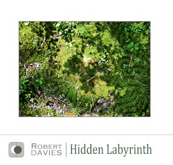 Hidden Labyrinth