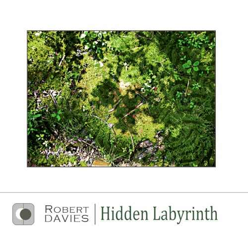 Hidden Labyrinth