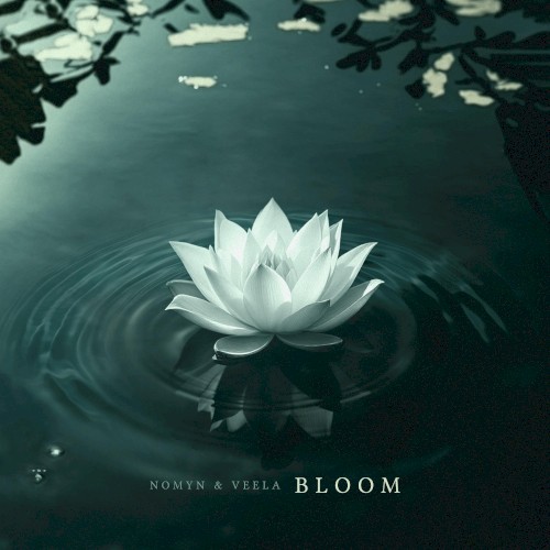 Bloom