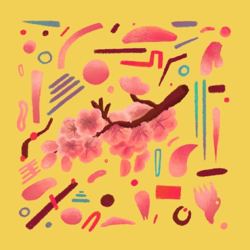 Cherry Blossoms