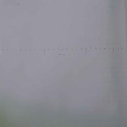 SP:NL003