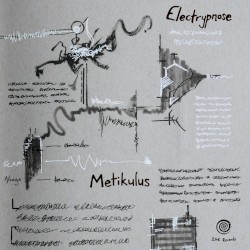 Metikulus