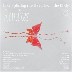 Like Splitting the Head From the Body: Remixes