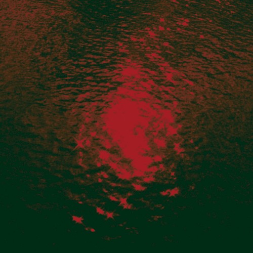 Ultraviolencia (Analog Love. 2016)