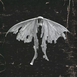 Mariposa