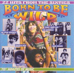 22 Hits From the Sixties: Born to Be Wild