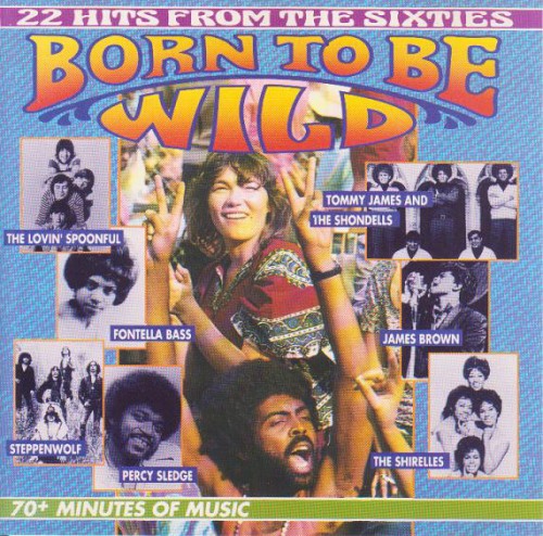 22 Hits From the Sixties: Born to Be Wild