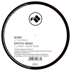 The Raven / Hybrid (Biome remix)