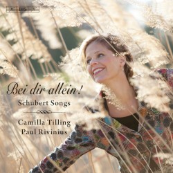 Bei dir allein!: Schubert Songs