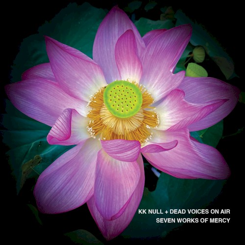 Seven Works of Mercy