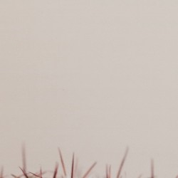 [no]objects