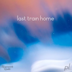 Last Train Home