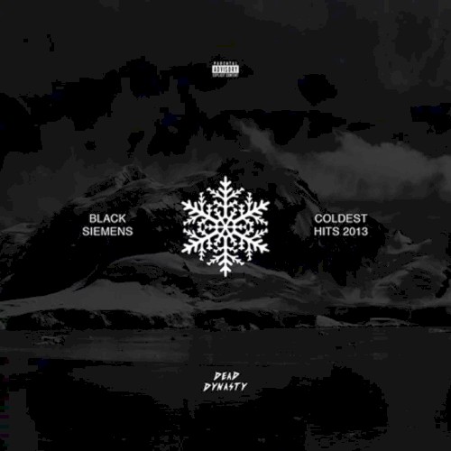 BLACK SIEMENS