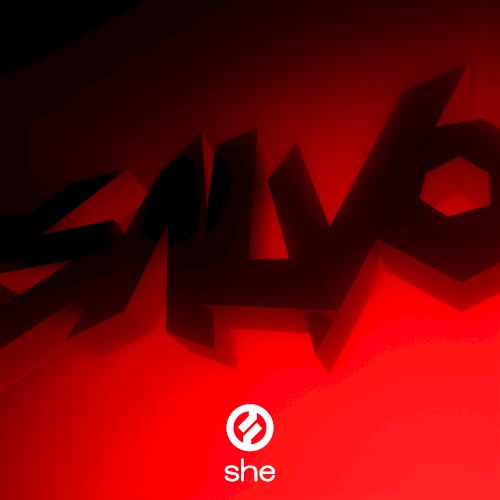 Salvo