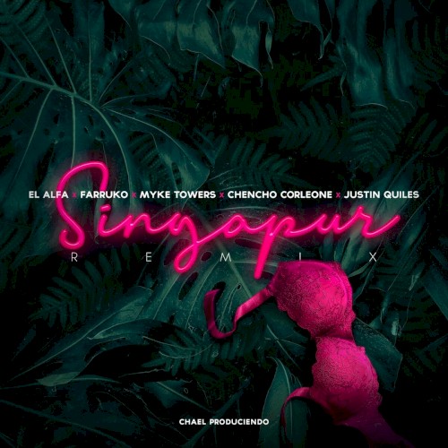 Singapur (remix)