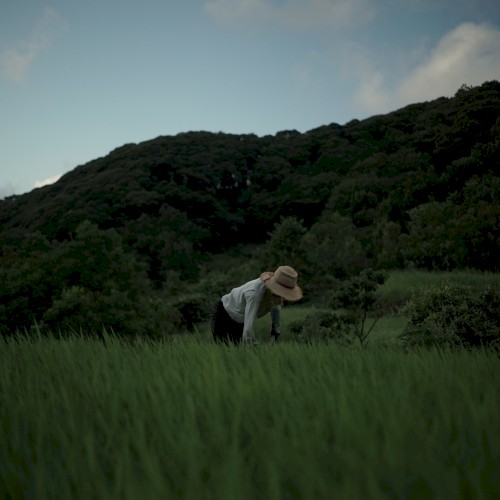 Izu Ambient 026