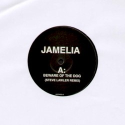 Beware of the Dog / Insomnia