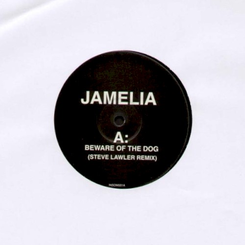 Beware of the Dog / Insomnia